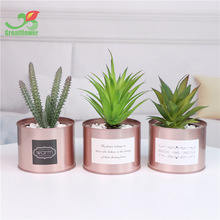 ���R�d���N�������ֲ������ õ����F�޷���ֲ������ �Ҿ��b�