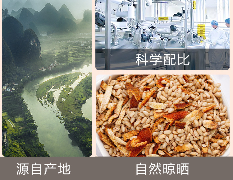 Chen Pi Ginger Rice Tea (Citrus reticulata) — Roasted Herbal Tea, 250g Jar in use