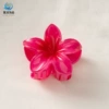Малиновый (8 см, большой)