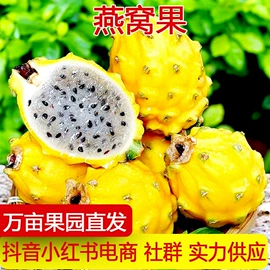 其他水果;梨;番薯类