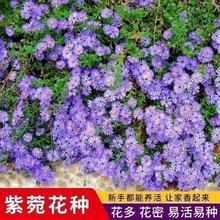 ɽҷNԷߎXҾջN޸׻ͺN