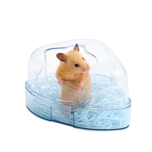 Bol wholesale large star bathroom bear bathroom hamster bathroom flower squirrel bathroom