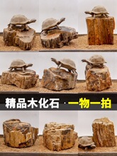 �~��ľ��ʯ�쾰ʯ��Ȼԭʯ�[��С�K�b�ɽ��ʯ�^�ݸײ����^�pʯ