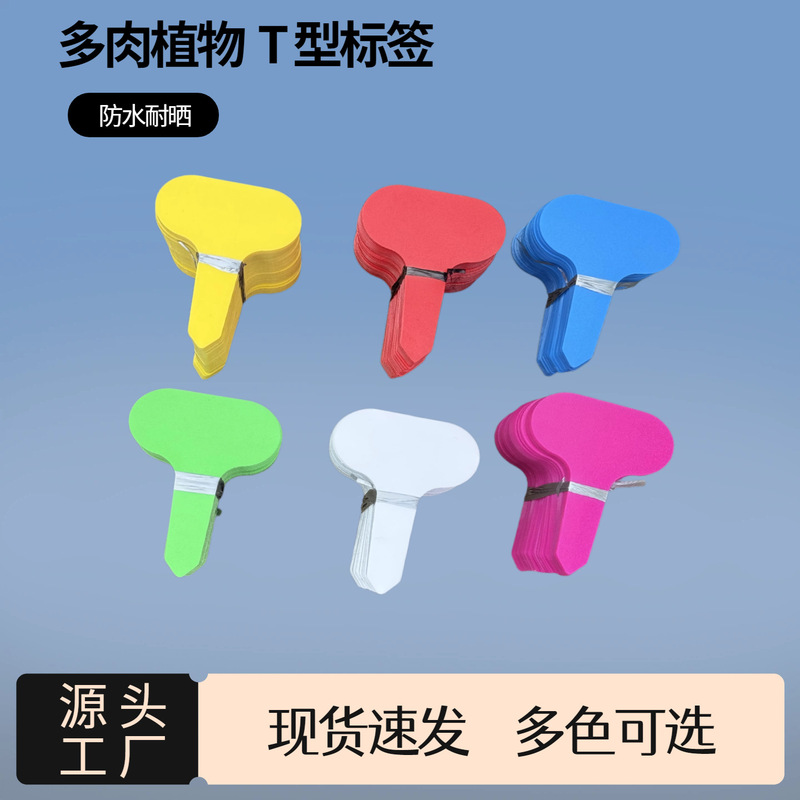Small T-Shaped Plastic Plant Tags, Sun-Resistant and Aging-Resistant, for Succulent and Flower Plants, Garden Greenery Varieties, Handwritten Labels Small T-Shaped Plastic Plant Tags, Sun-Resistant and Aging-Resistant, for Succulent and Flower Plants, Garden Greenery Varieties, Handwritten Labels