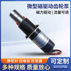 供应小型磁力齿轮泵微型齿轮泵12v24v不锈钢磁驱动齿轮泵流程泵