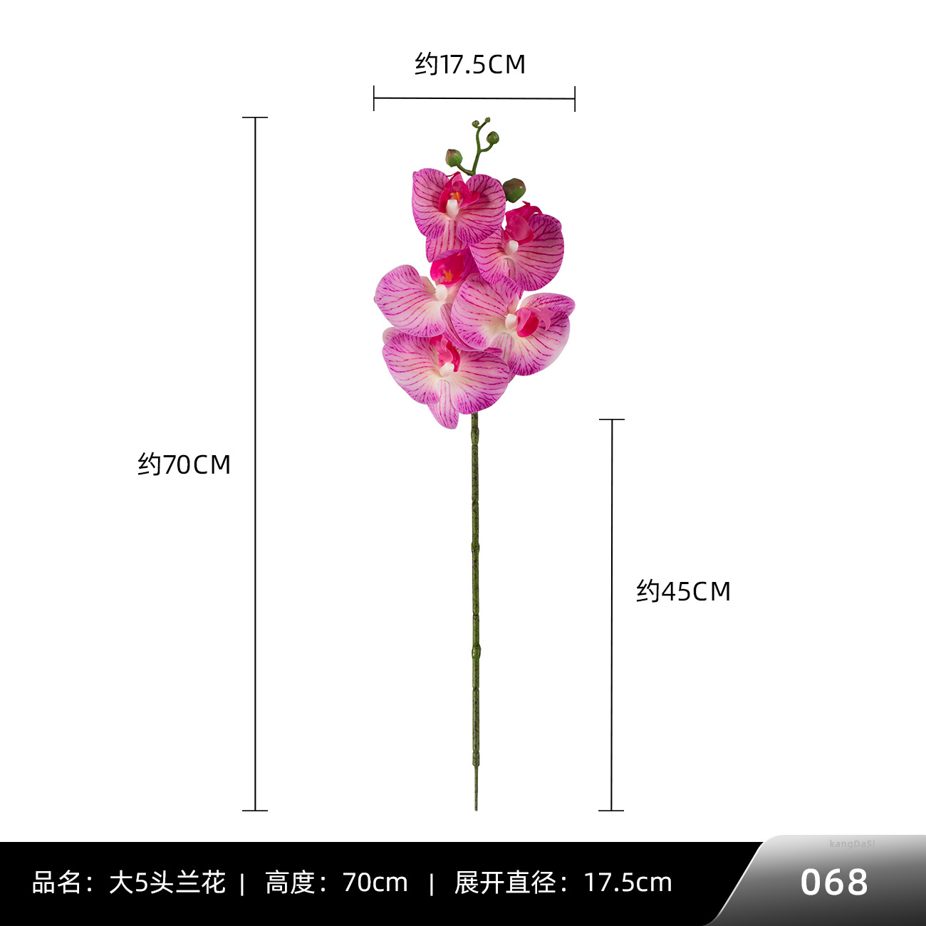 068 # 빅 5 호접란
