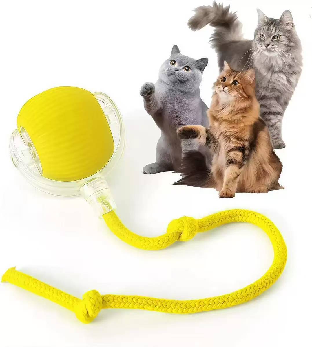 Set de Juguetes Mordedores de Catnip para Gatos de Madera de Matatabi para Limpieza Dental e Interactivo image 97