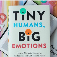 �羳���l���R�d����shu��TINY BIGBOOK�R�d��Կ��shu��Ӣ��sh