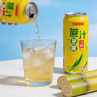 �é������֭310ml*24���b�������½�����������é������ˮ
