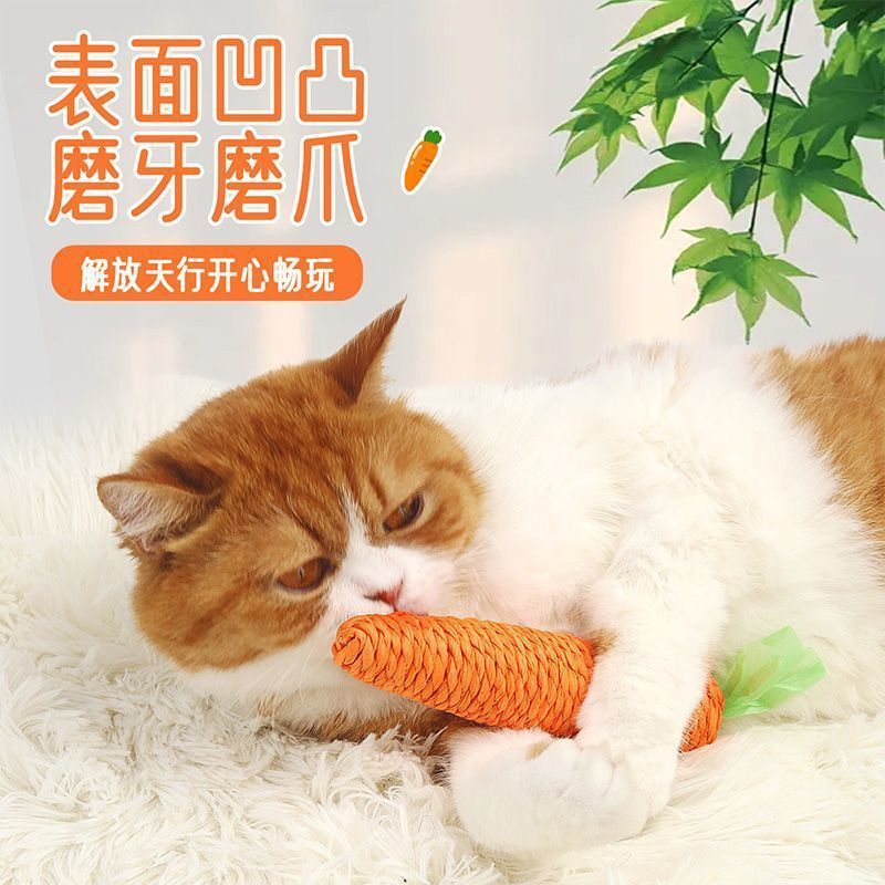 3db0b981-dbfb-4101-a054-fd82f7a4e45d.jpe