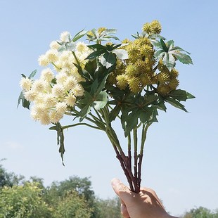 ���滨 ��֦����� ins���^С����ٻ����ϻ��ҾӔ[�Ż�c��