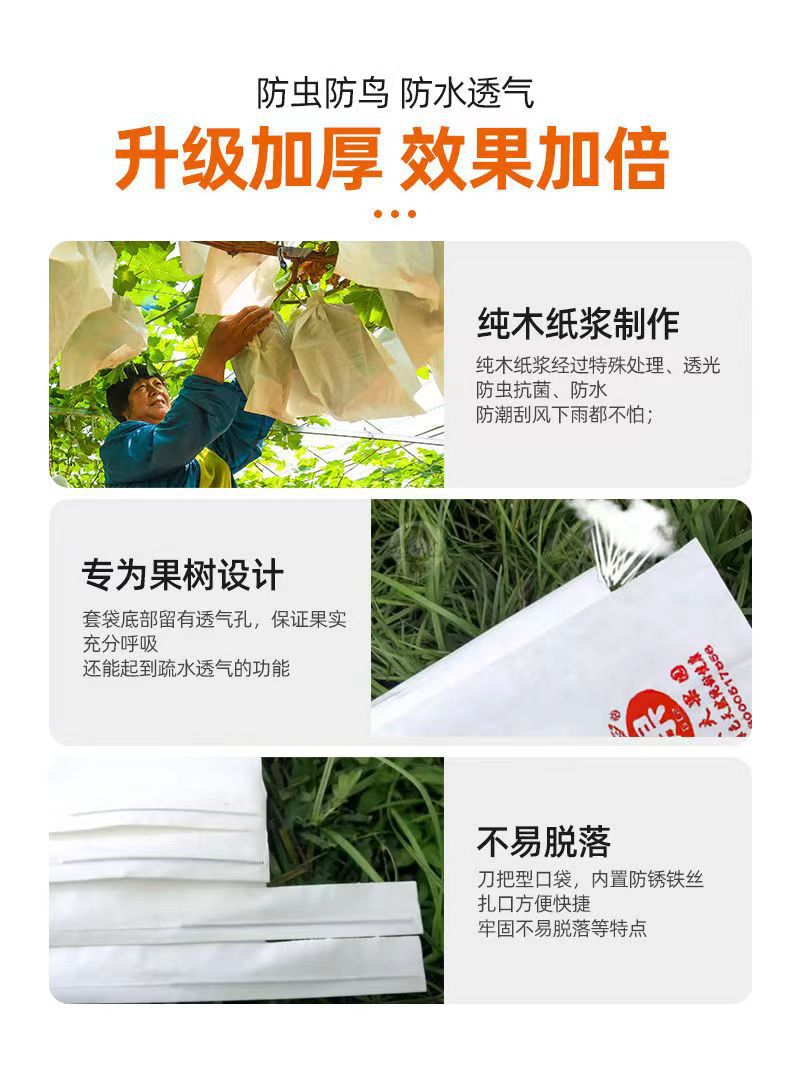 微信图片_20240702160929