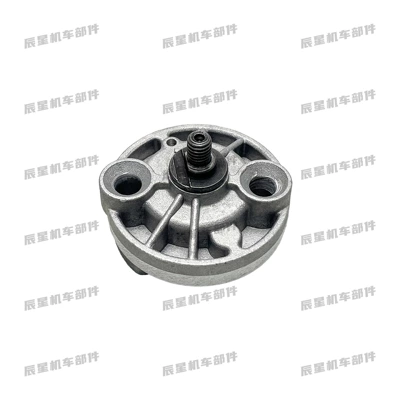 Pedal Motorcycle Engine Parts GY6-125/150cc Oil Pump Highlight (Motorcycle engine and accessories)