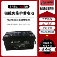 长海斯达蓄电池6FM-65 12V65AH直流屏EPS/UPS电源专用铅酸蓄电池