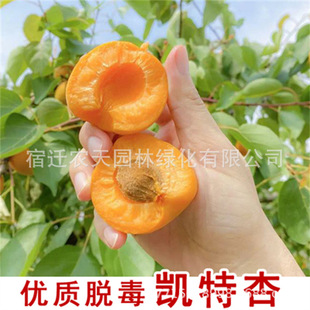 ��ˮ�����Ә��ϱ����NֲͥԺ�����ش��������Ӽ޽ӹ����箔��Y��