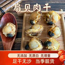 全贝干新鲜扇贝肉干货干贝瑶柱元贝带裙边淡晒商用真空包装500g无