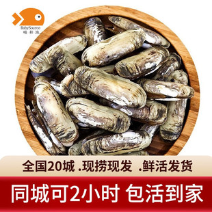 ���͝O�r���|�� �p�^ ���rؐ� ����ʳ�� �r��r �r���|�ӣ�150