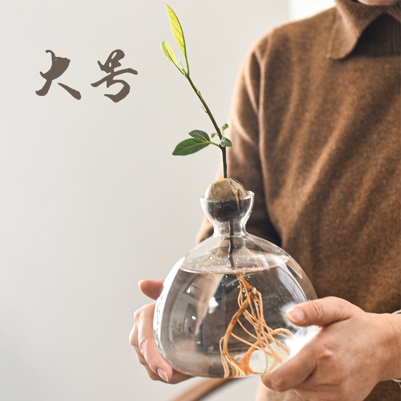 Jarrón hidropónico de aguacate japonés, plantación de semillas de hueso de aguacate, recipiente de cultivo, jarrón especial, jardinería