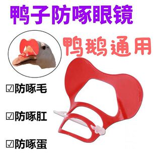 �����R ���Z�������÷������R ���ӷ������R �������R �������R