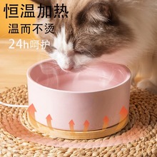 饮水机喝水猫咪冬天恒温加热陶瓷碗狗狗温水器养胃粮碗宠物水碗