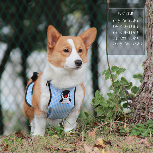 Pet it Corgi waterproof bellyband for rainy days outdoor anti-dirty pet dog bellyband pet clothes divided into male and female cross-border