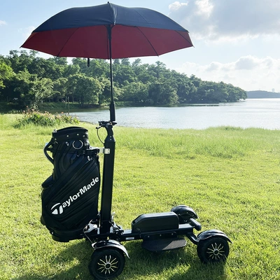 Qatlanan elektrik skuterlər – Retuol Four-Wheel Electric Golf