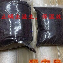 ���xҬ�����\��֩��ϐ����Ҭ�u�|�ı��ر���ߜ؟o������h���tɳ