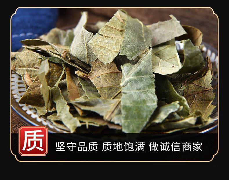 Dried Loquat Leaf Pi Pa Ye 500g Whole Green Leaves Herbal Tea Loose Raw Herb in use