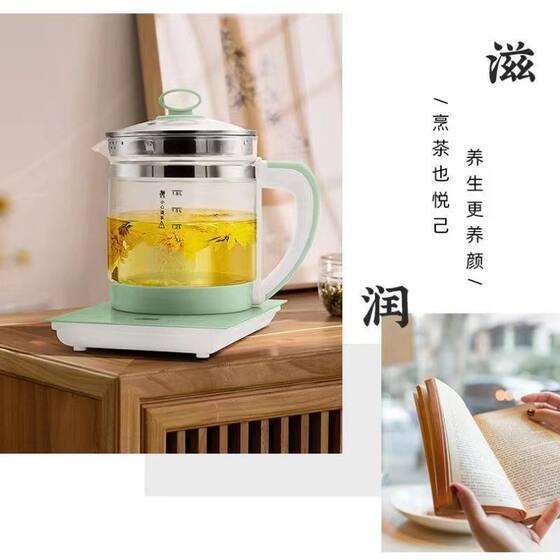 Wanlida Health Pot Office Household Multi-functional Kettle Decoction Pot Tea Boiling Pot Gift Hair