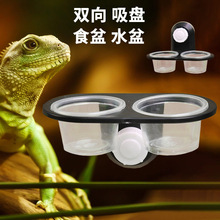 爬虫两用水盆食盆睫角守宫喂食台甲虫果冻台绿鬣菜盆蜘蛛面包虫盆