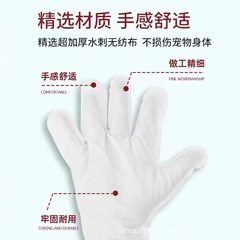 KOJIMA免洗手套濕巾寵物除臭清潔貓狗用洗澡乾洗寵物用品