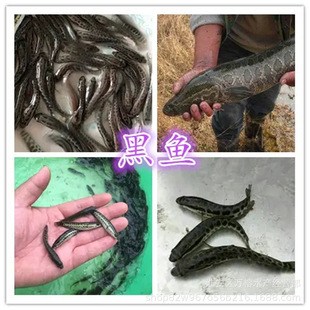 ���~���� ���~���Bֳ ��ˮ���~������