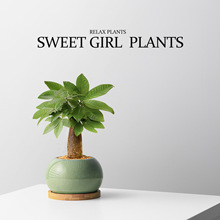 GϵGֲ帣lֲؔ҃k辰GֲB