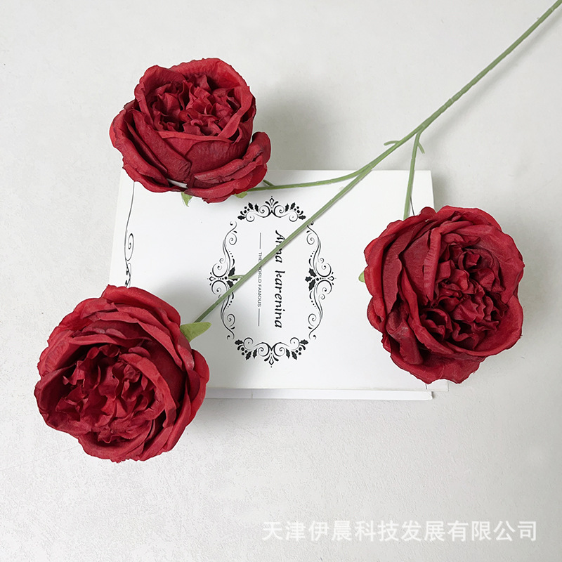 3 오스틴 리프리스-레드