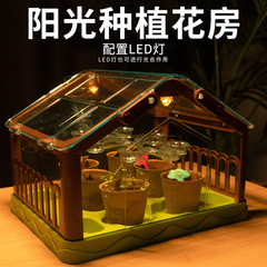 Children's mini planting sunroom scientific plant observation experiment kindergarten primary school students planting flowers and building toys