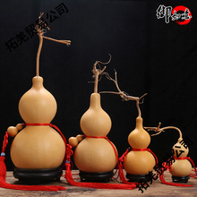 ��Ȼ���J�����̖�[���_�ڼҾ����P���������������^С���J�T���T