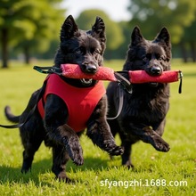 黑狼犬全黑狗黑狼犬狼狗看家护院警犬黑狼幼犬正品纯种活的成犬狗