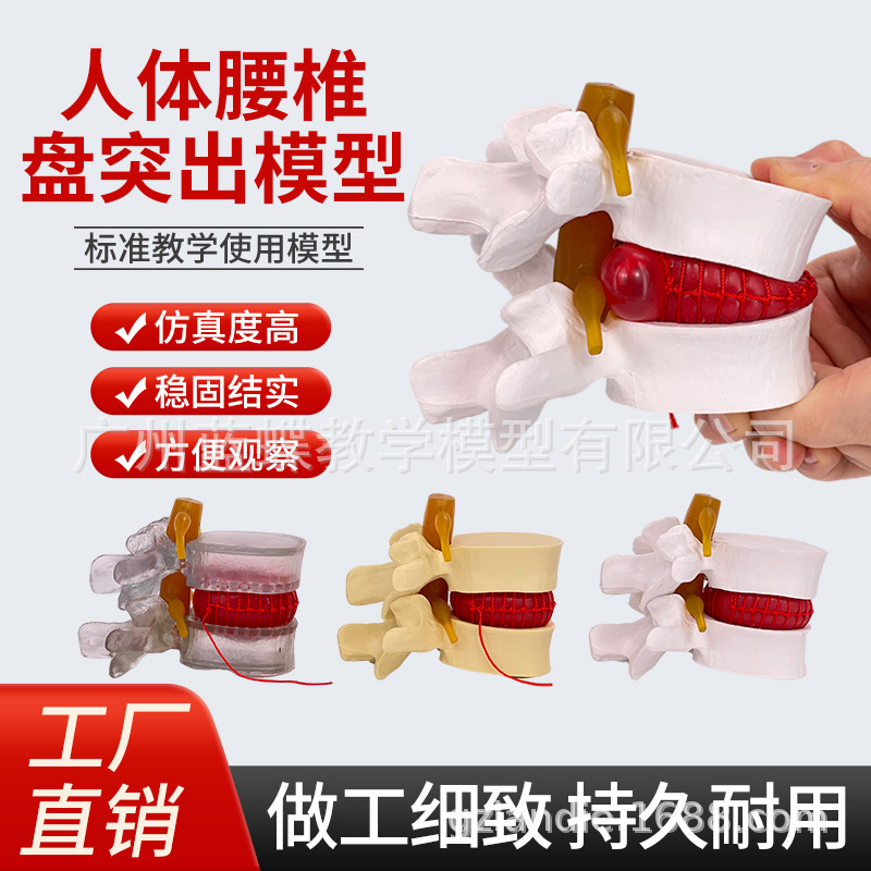 ��׵�Ŵ���׵������ѹ��ʾģ�����弹����׵�ǲ�����ʾ�ؽ�ҽѧ��