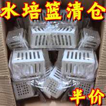 �¿�ֲ��Nֲ�@�~�׼Ӻ�ˮ����ʽˮ��ͦˮֲ��ö�ֲ�@�Nֲ��