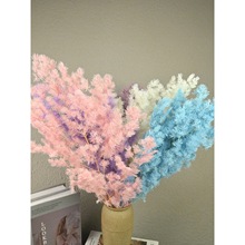 ���������R��ܛ�b���W�L�����ҾӲ��ϸɻ��滨���л���