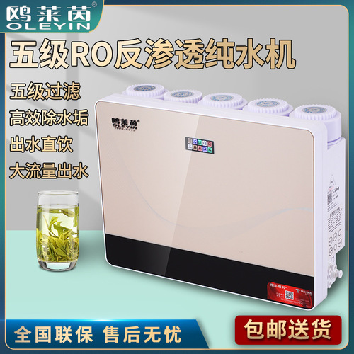 Water Purifier RO Reverse Osmosis 5-Stage Filtration Tap Water Purifier Drinking Machine Household 600G High-Flow Drinking Water Dispenser