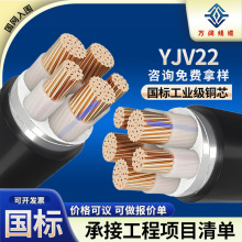 国标YJV/YJV22 0.6/1KV铜芯 电缆4 5芯10～300平方低压电力电缆线