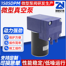 1585DPM΢����ձ�12V24V��ͷ��ձø߸�ѹ����ն�΢����������