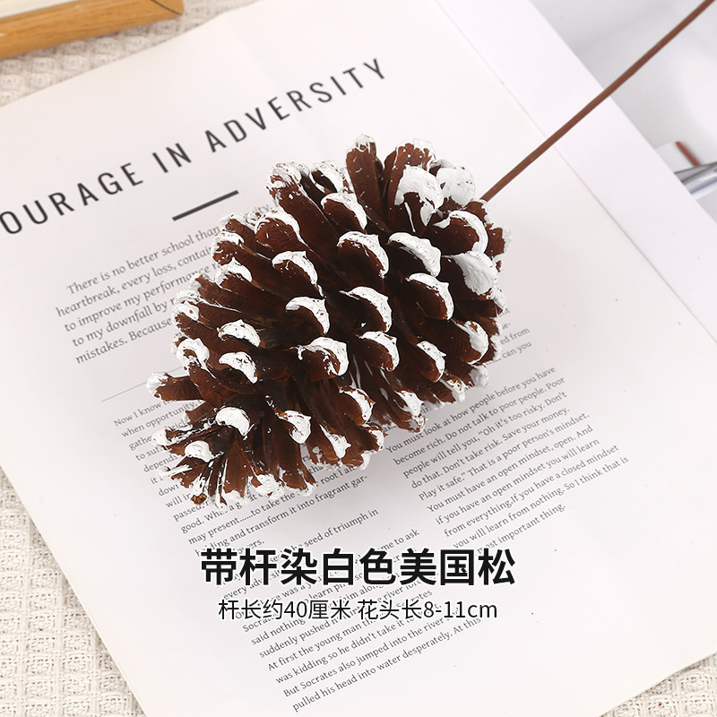 막대에 흰색으로 염색된 미국산 소나무