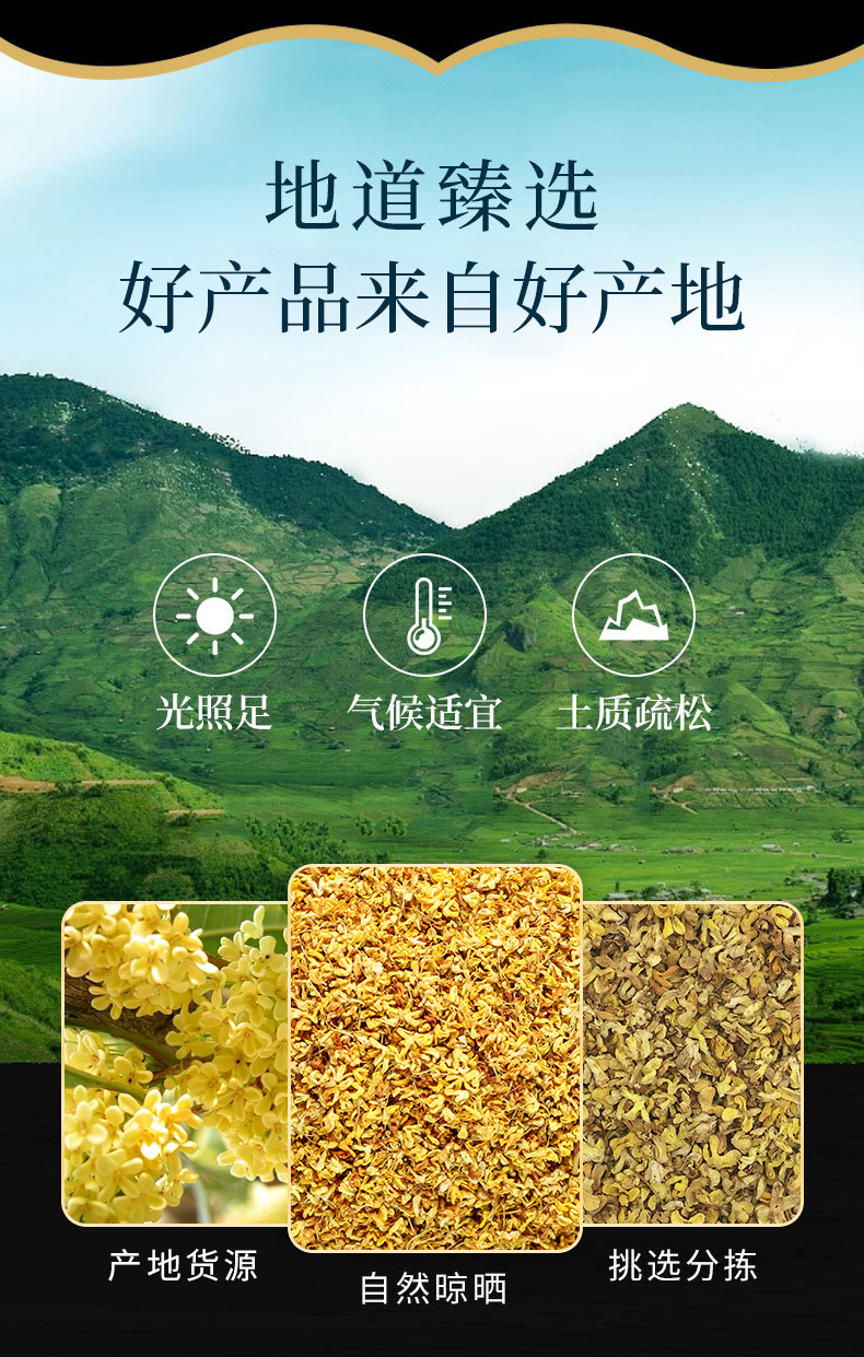 Osmanthus Flowers (Osmanthus fragrans) — Dried Gui Hua for Tea, Baking & Herbal Blends overview