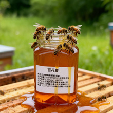 �U�a���ɶ��ưٻ�������ɽ����Ԯa���Nƿ�b1���b