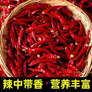 ���������ɼt����������������ħ����С�׽����콷�����������{��