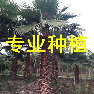 �е��G���A�����˿��� �U��1-7������ ���������ؙ���ľ