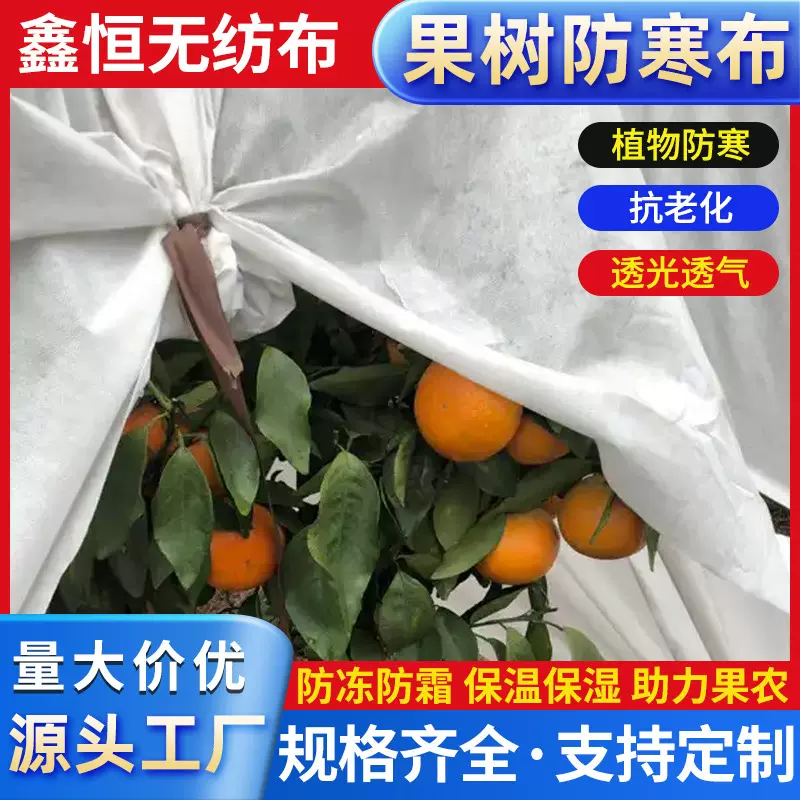 果树防寒布无纺布厂家直销透气透水保温保湿茶园柑橘防冻布防雨布