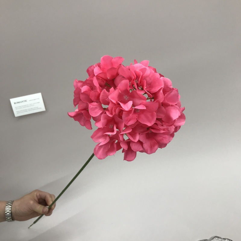 로즈 레드